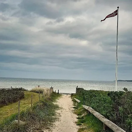 8 Person In Borkop-by Traum *